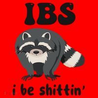 Ibs I Be Shittin Funny Joke Raccoon Santa Hat thumb 1