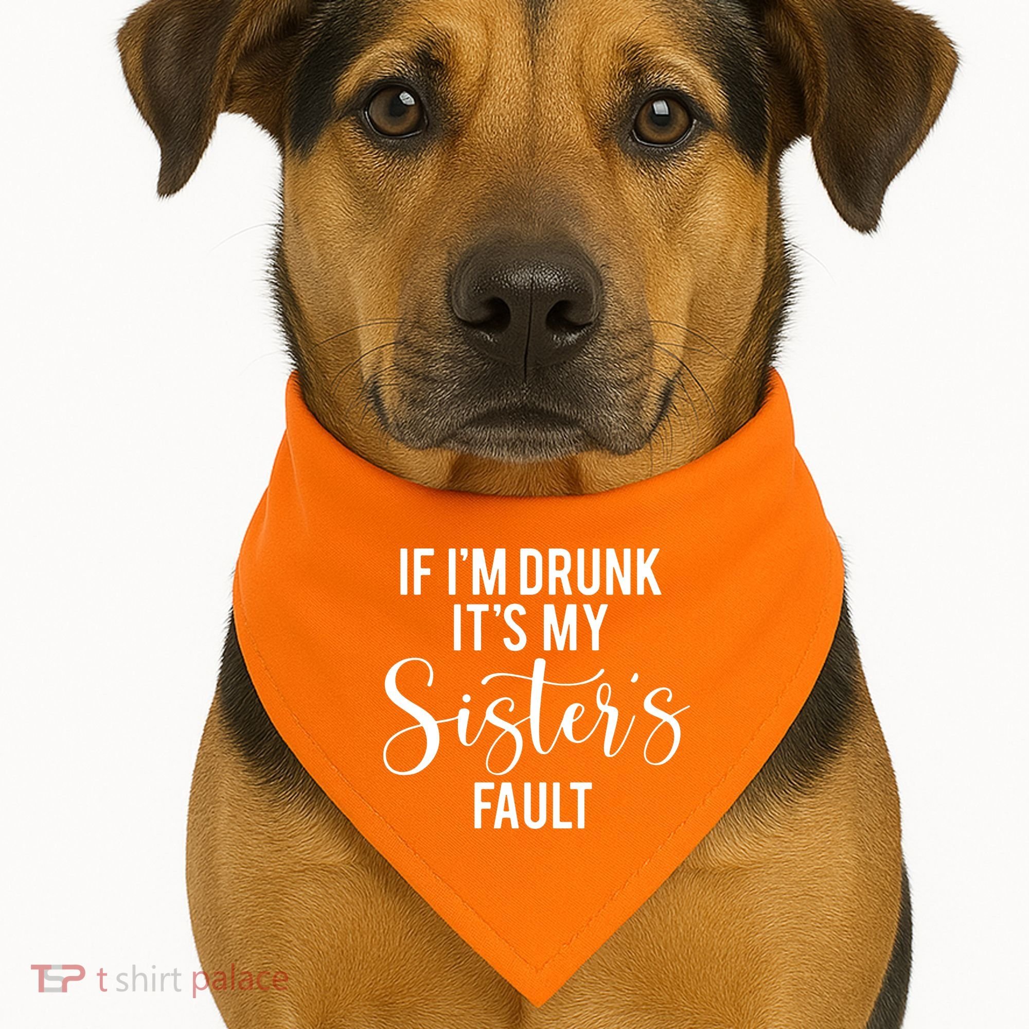If IM Drunk ItS My Sisters Fault USA-Made Doggie Bandana