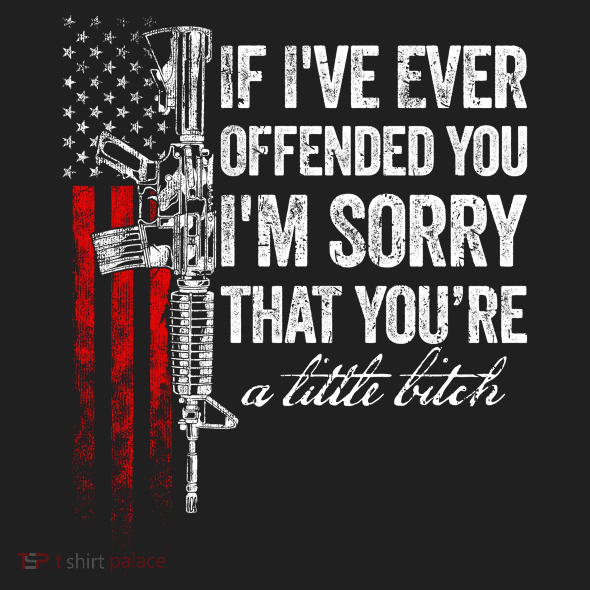 If Ive Ever Offended You Im Sorry American Flag Gift Hat