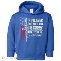 If Ive Ever Offended You Im Sorry American Flag Gift Toddler Hoodie thumb 0