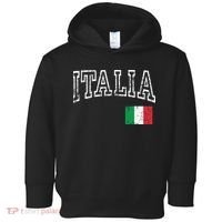 Italia Italian Flag Italy Distressed Toddler Hoodie thumb 0