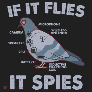 If It Flies It Spies Comfort Colors Boxy T-Shirt