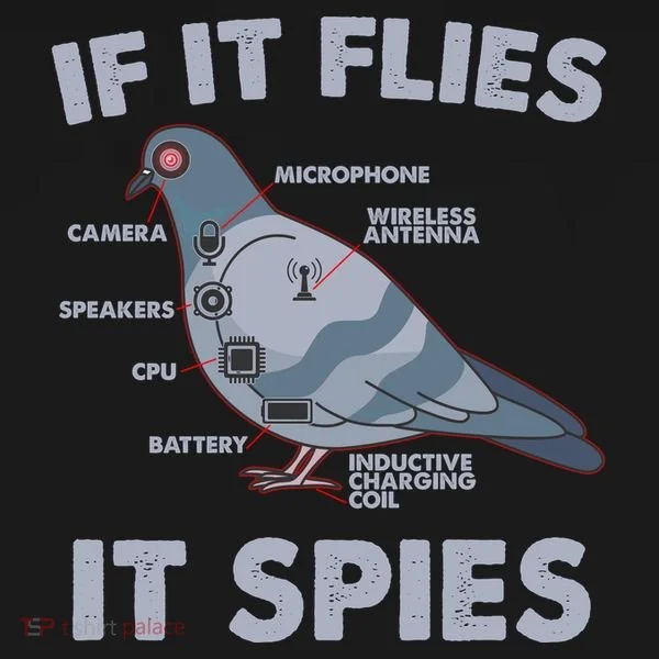 If It Flies It Spies Bucket Hat