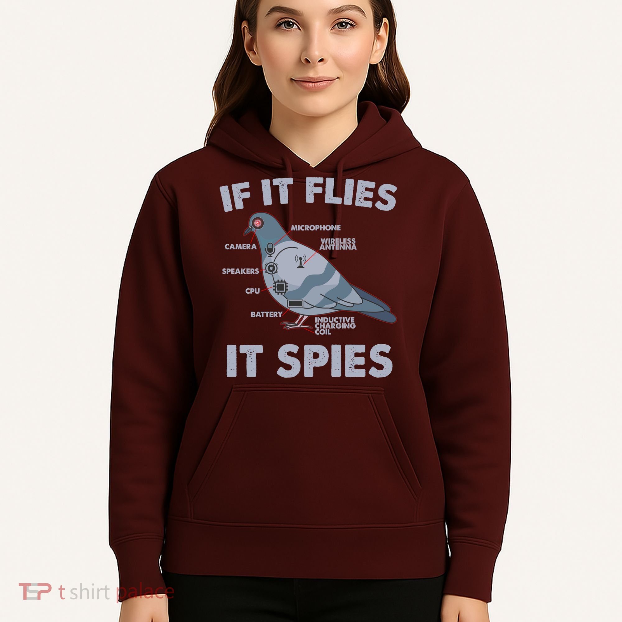 If It Flies It Spies Hoodie