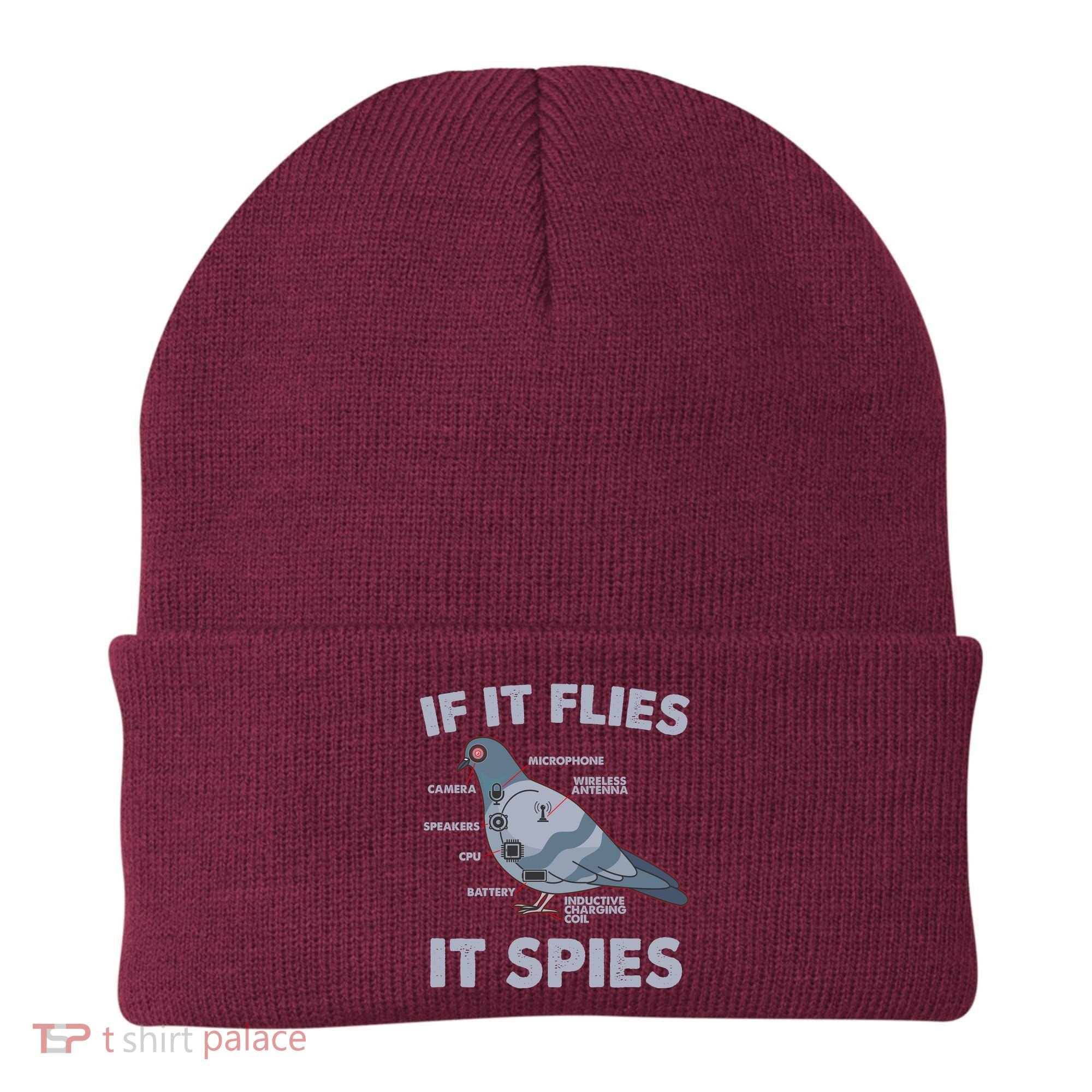 If It Flies It Spies Beanie