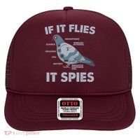 If It Flies It Spies Hat thumb 0