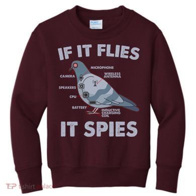 If It Flies It Spies Kids Sweatshirt