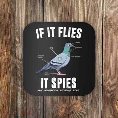 If It Flies It Spies Bionic Information Recording Drone Coaster