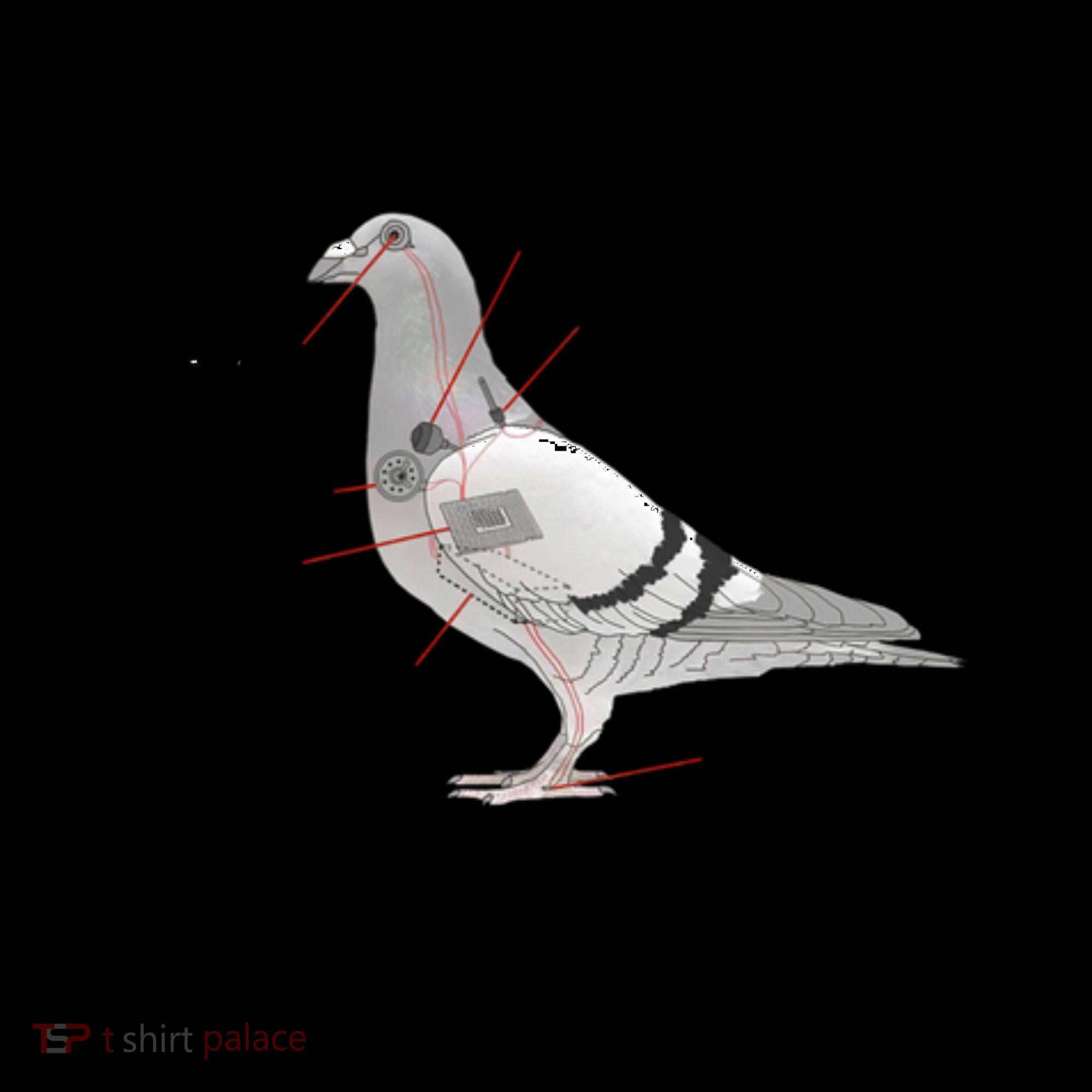 If It Flies It Spies Pigeon Anatomy Bird Funny Coffee Mug