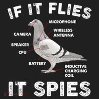 If It Flies It Spies Pigeon Anatomy Bird Funny Beanie thumb 2