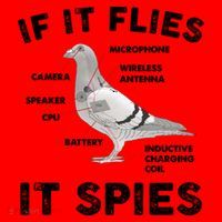 If It Flies It Spies Pigeon Anatomy Bird Funny Santa Hat thumb 1