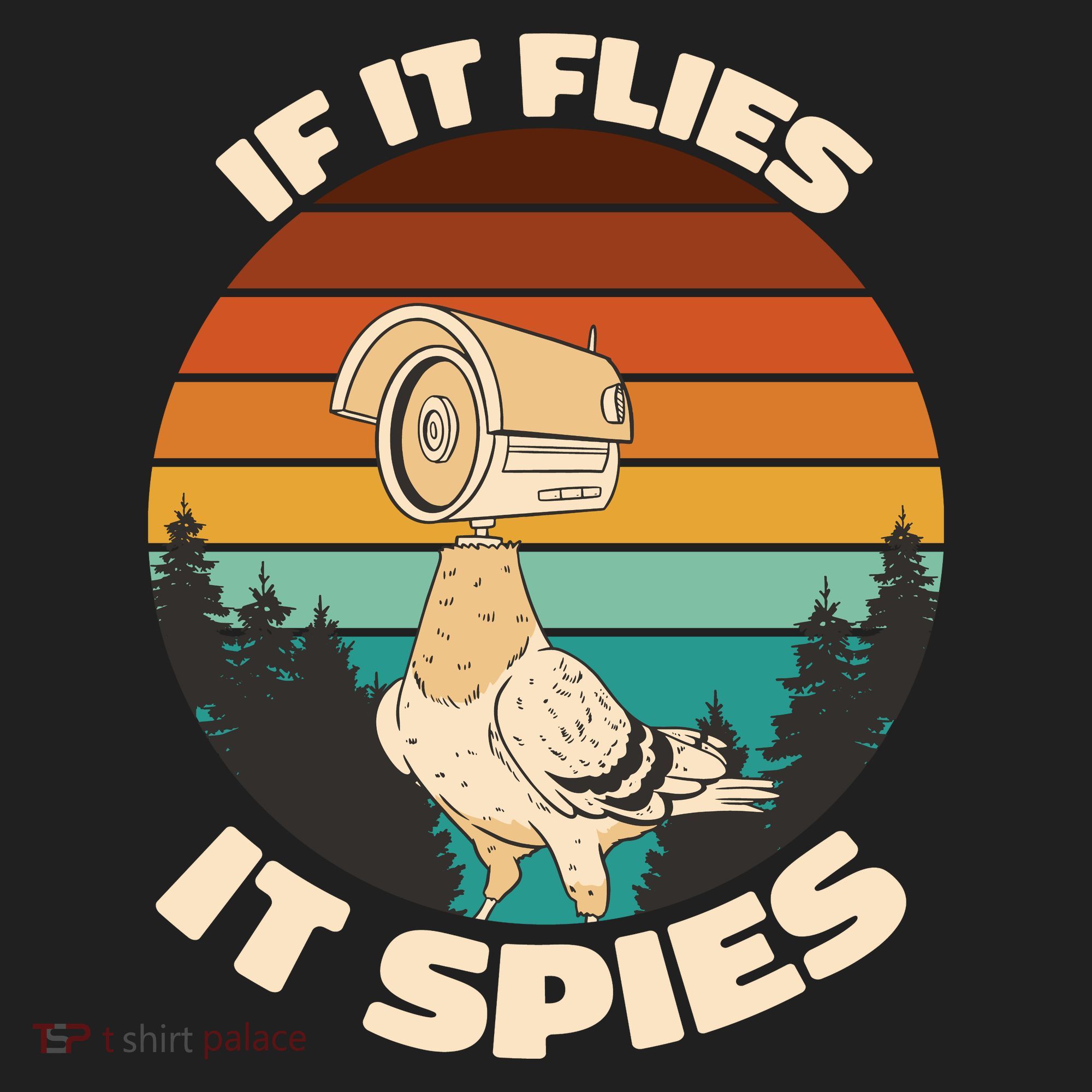 If It Flies It Spies Bird Watcher Government Spying Hat