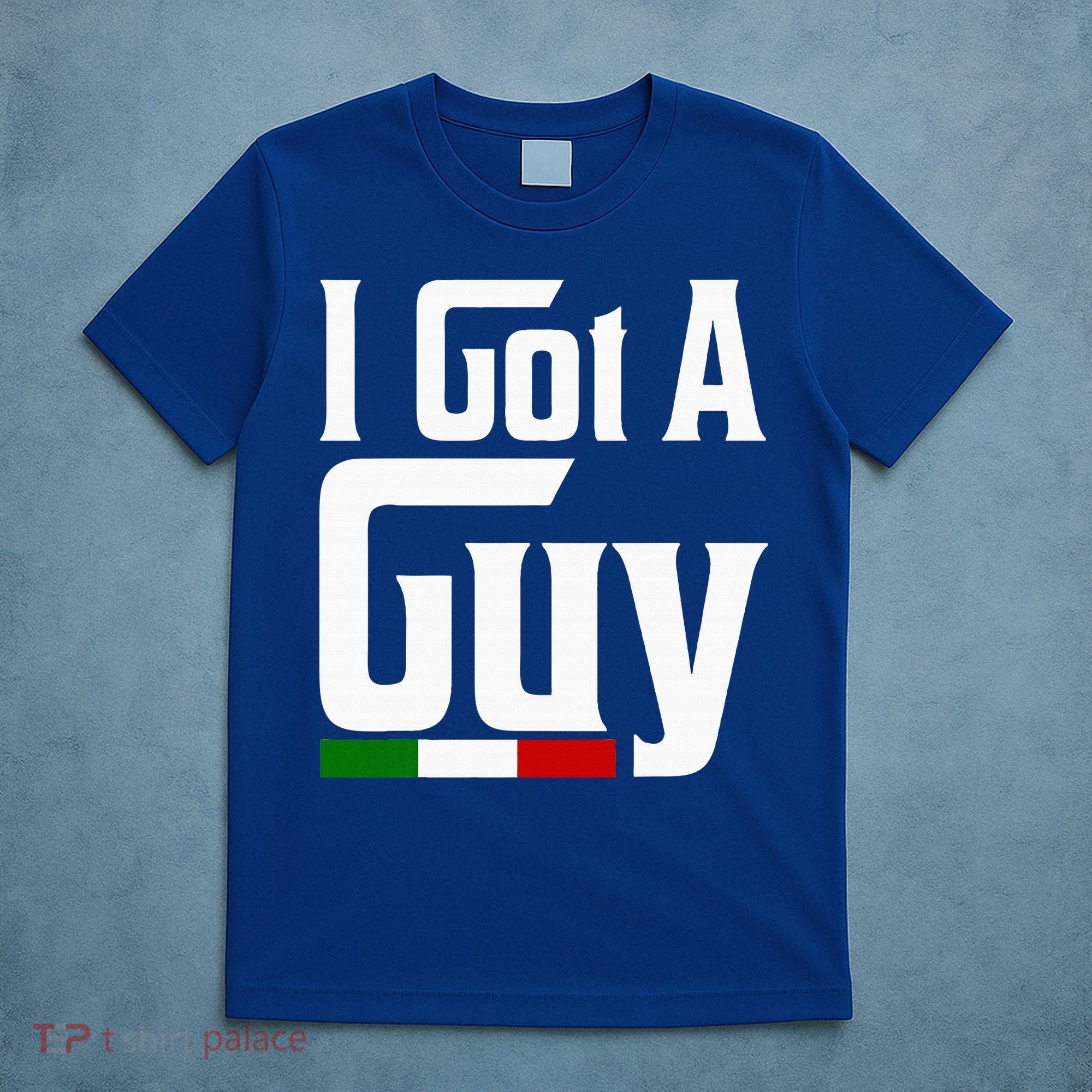 Italian I Got A Guy Vintage Italia Flag Patriotics T-Shirt