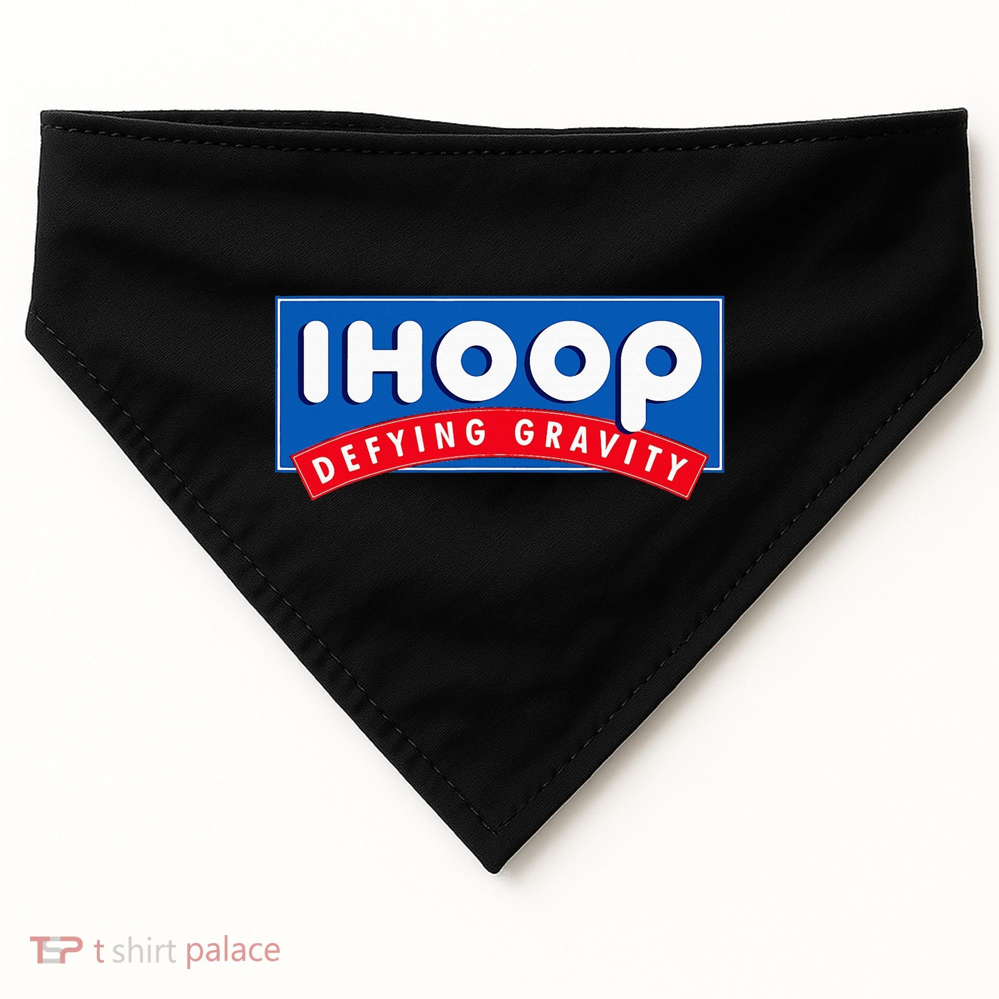Ihoop I Hoop Defying Gravity Basketball & Basketballer USA-Made Doggie Bandana