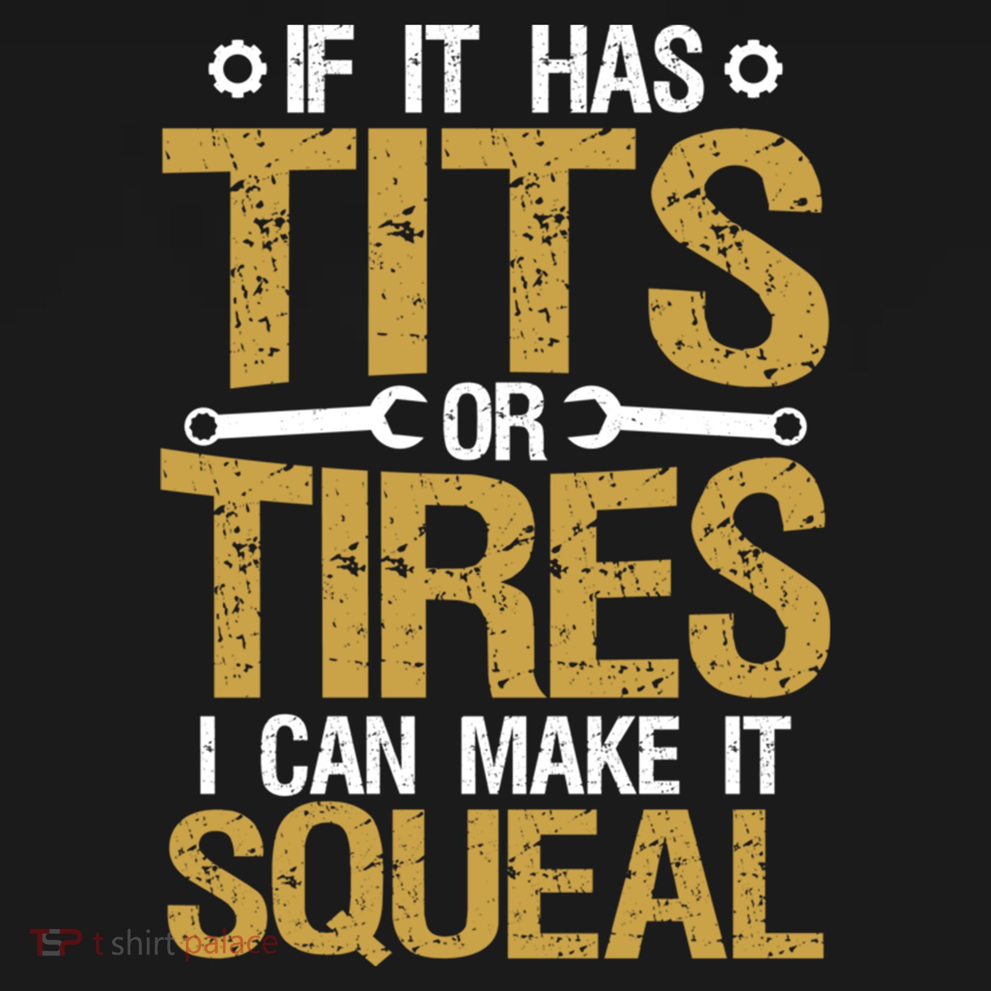 If It Has Tits Or Tires I Can Make It Squeal Fun Mechanic Cute Gift Women's Hoodie