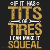 If It Has Tits Or Tires I Can Make It Squeal Fun Mechanic Cute Gift Hat thumb 2