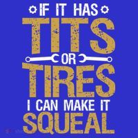 If It Has Tits Or Tires I Can Make It Squeal Fun Mechanic Cute Gift Sweatshirt thumb 3