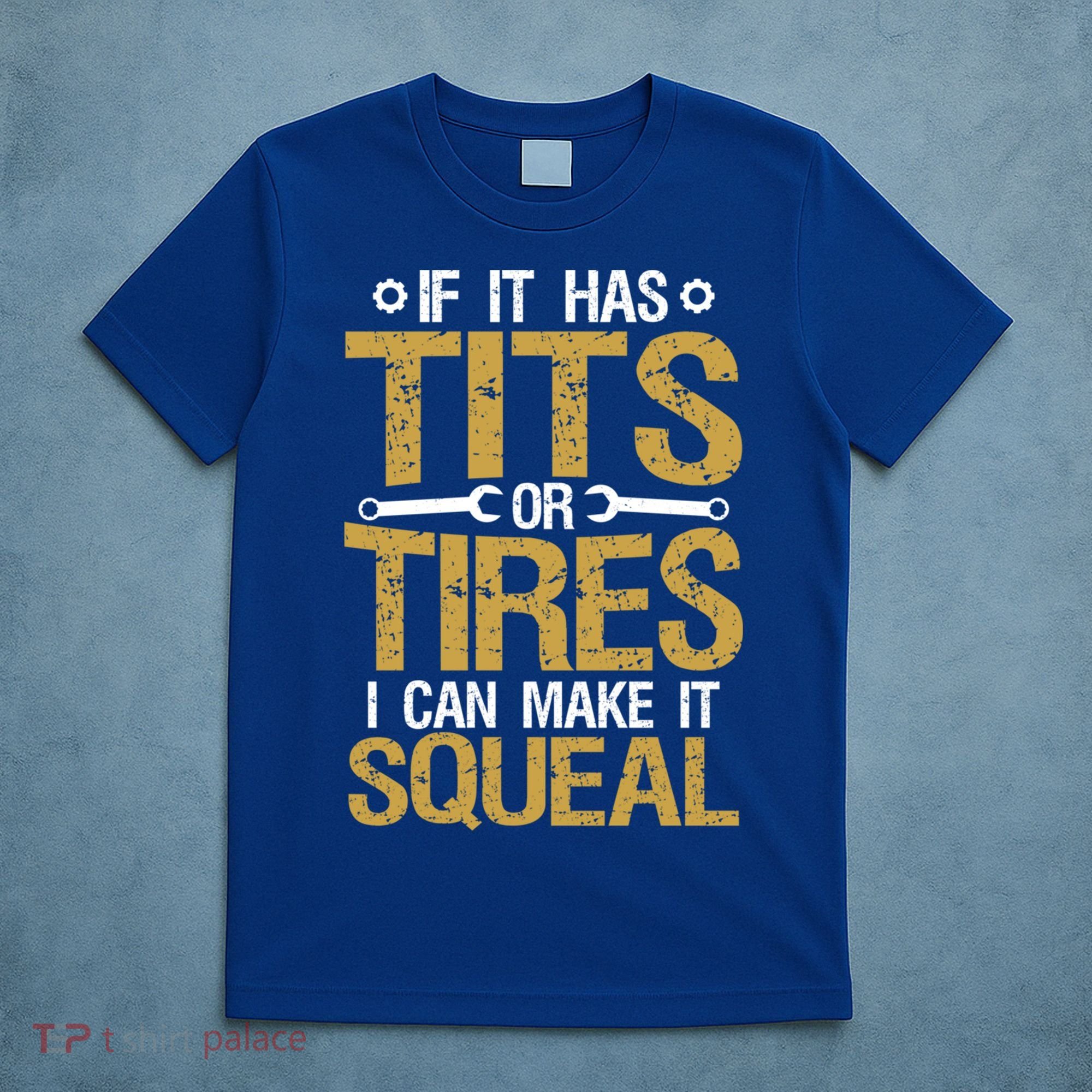 If It Has Tits Or Tires I Can Make It Squeal Fun Mechanic Cute Gift T-Shirt