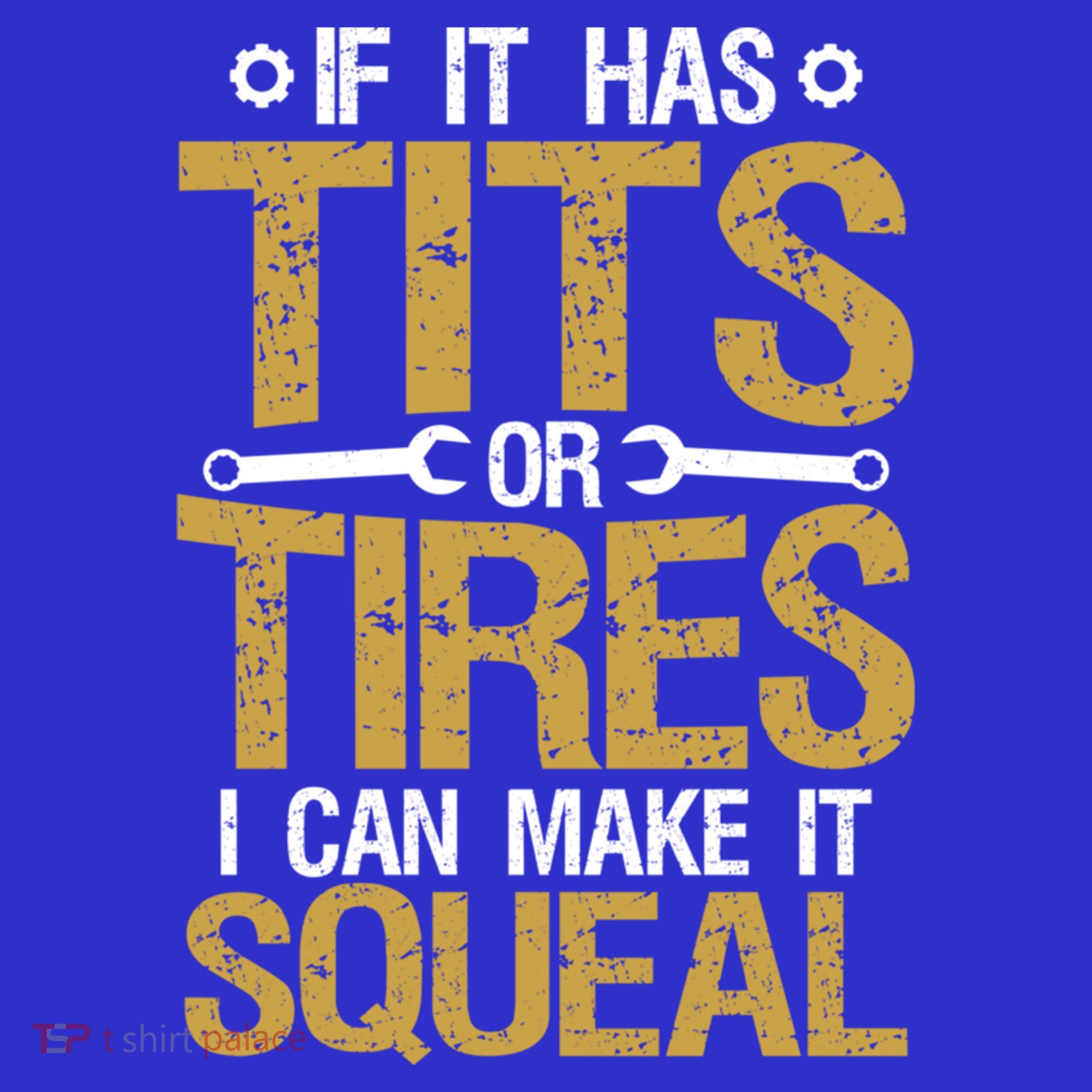 If It Has Tits Or Tires I Can Make It Squeal Fun Mechanic Cute Gift Women's Tank Top