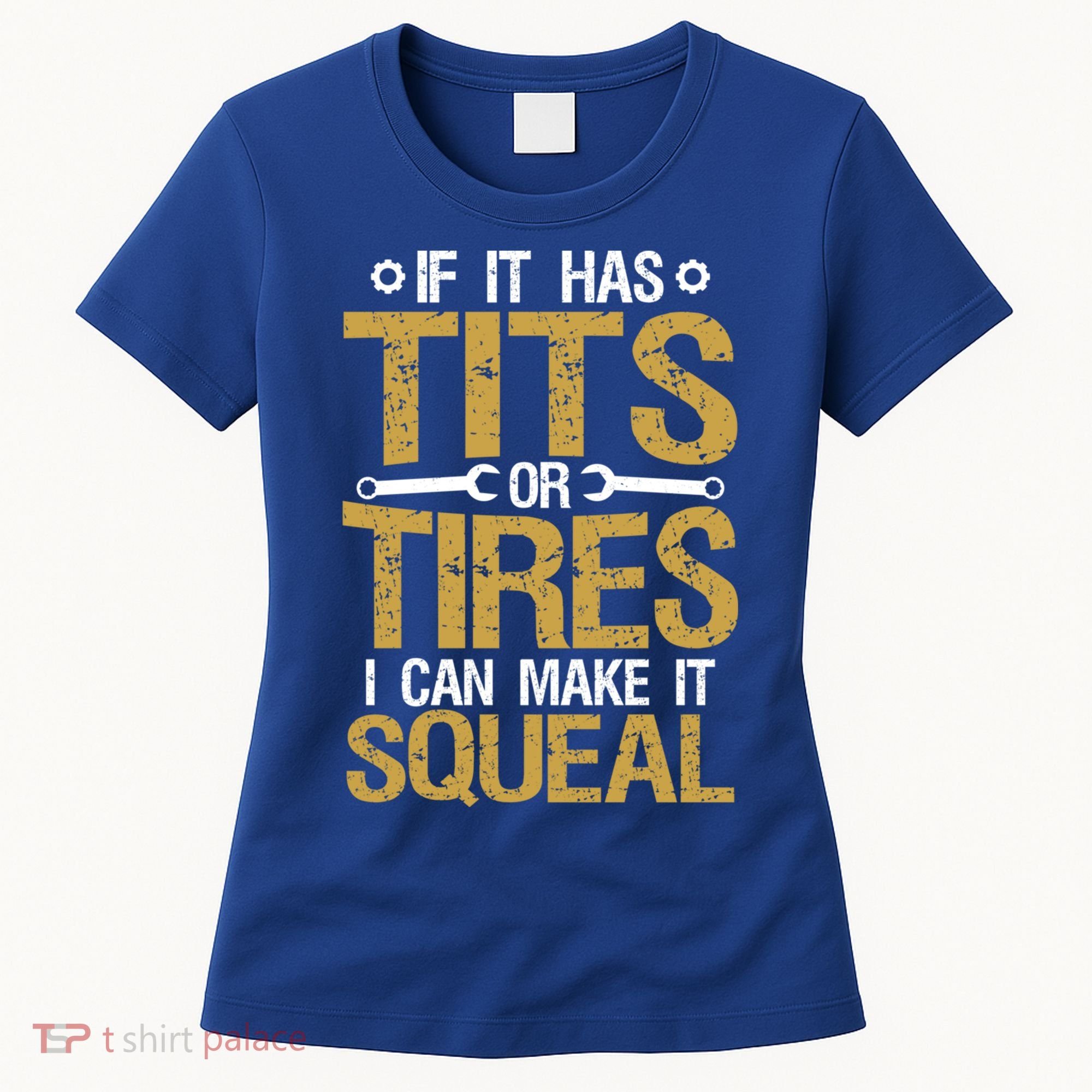 If It Has Tits Or Tires I Can Make It Squeal Fun Mechanic Cute Gift Women's T-Shirt