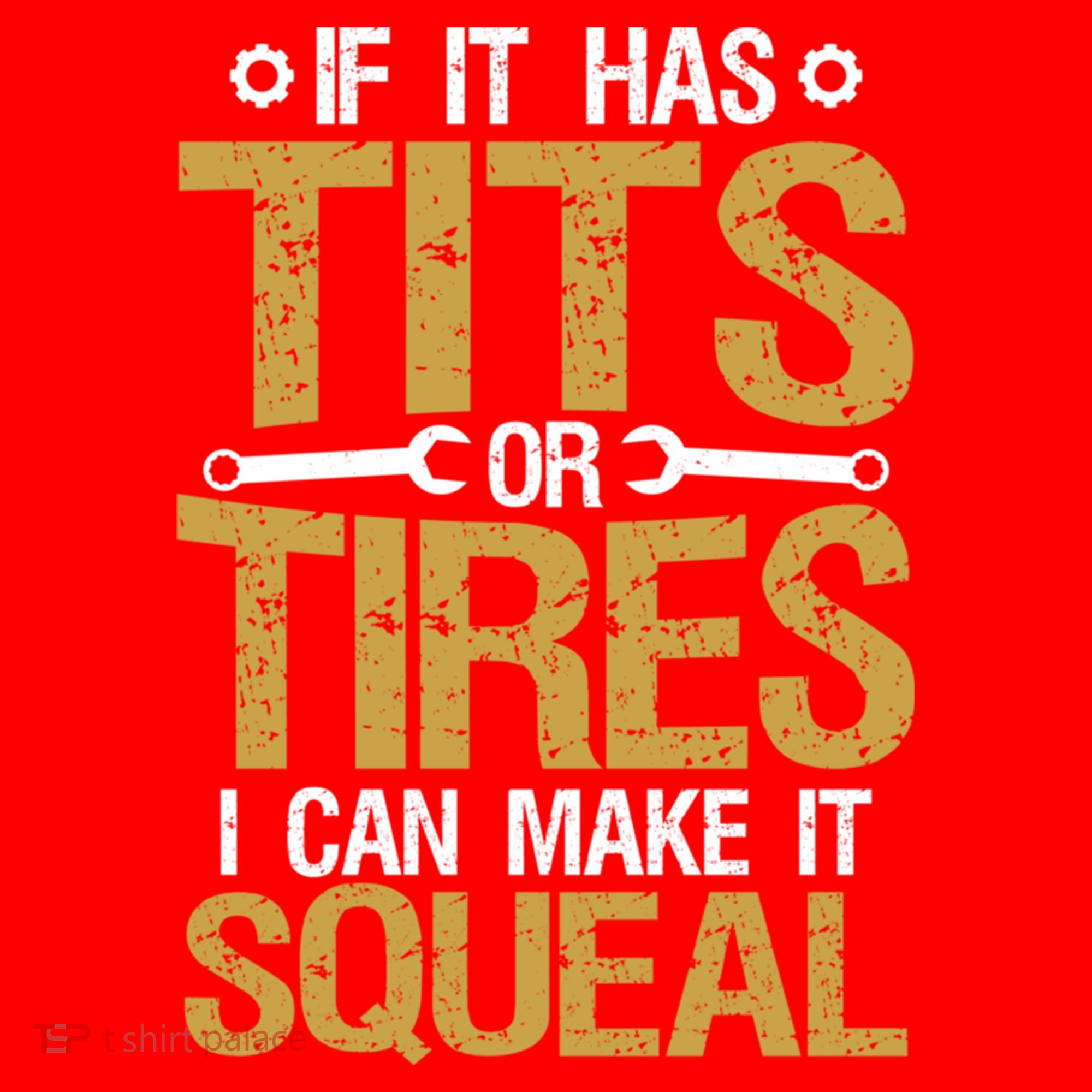 If It Has Tits Or Tires I Can Make It Squeal Fun Mechanic Cute Gift Santa Hat