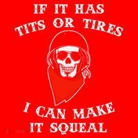 If It Has Tits Or Tires I Can Make It Squeal Funny Santa Hat thumb 1