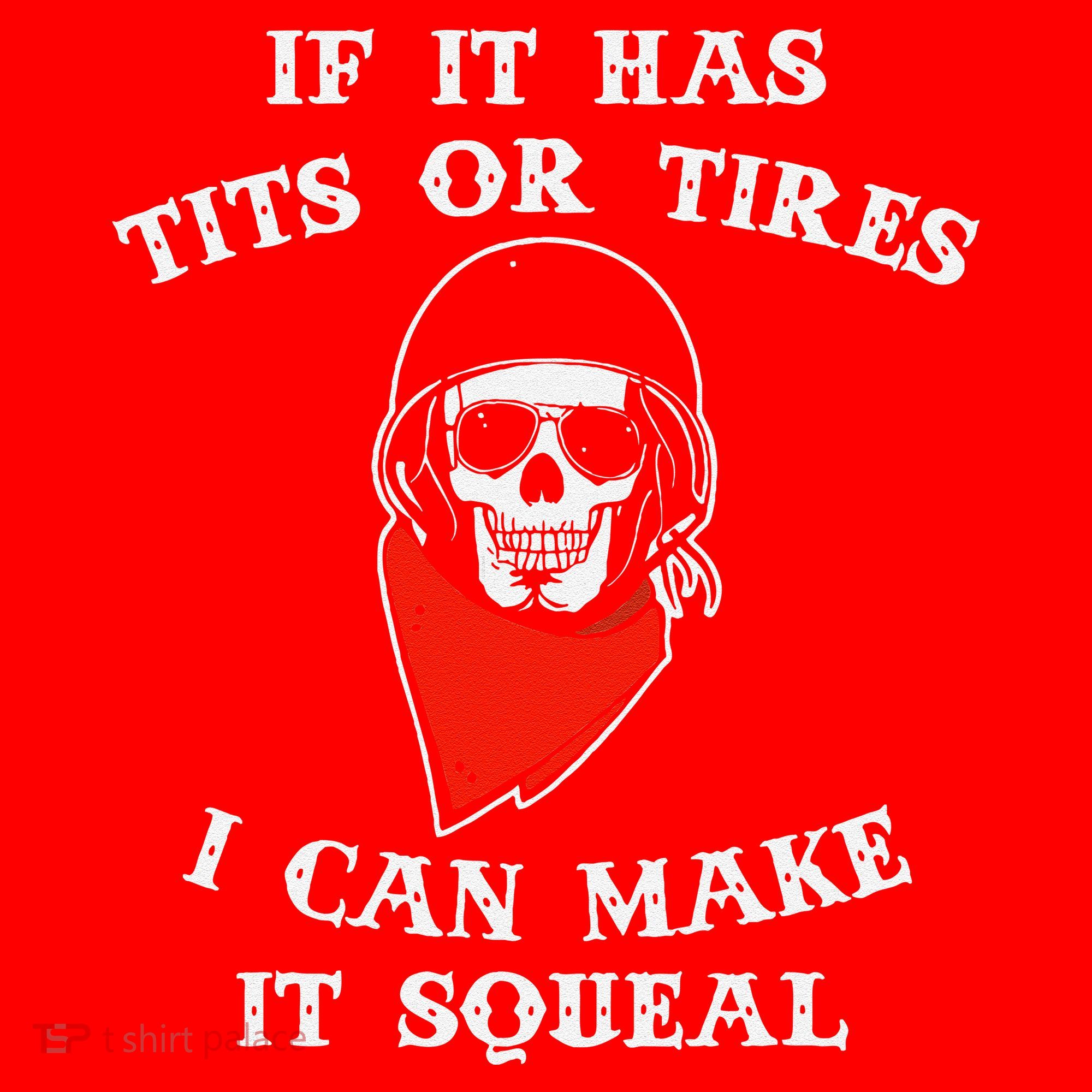 If It Has Tits Or Tires I Can Make It Squeal Funny Santa Hat