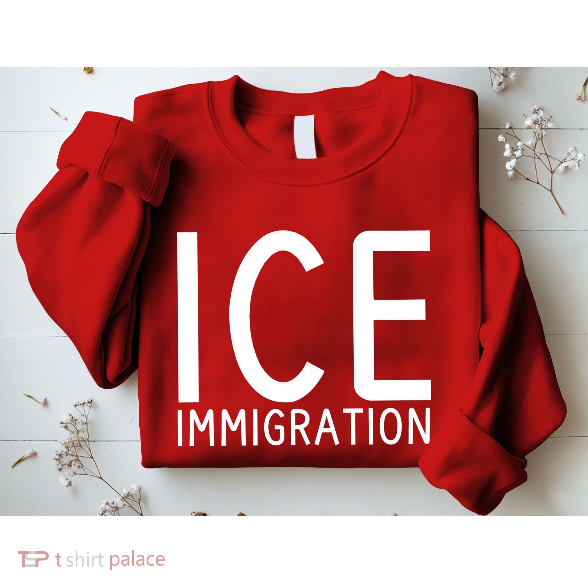 Ice Immigration Sweatshirt