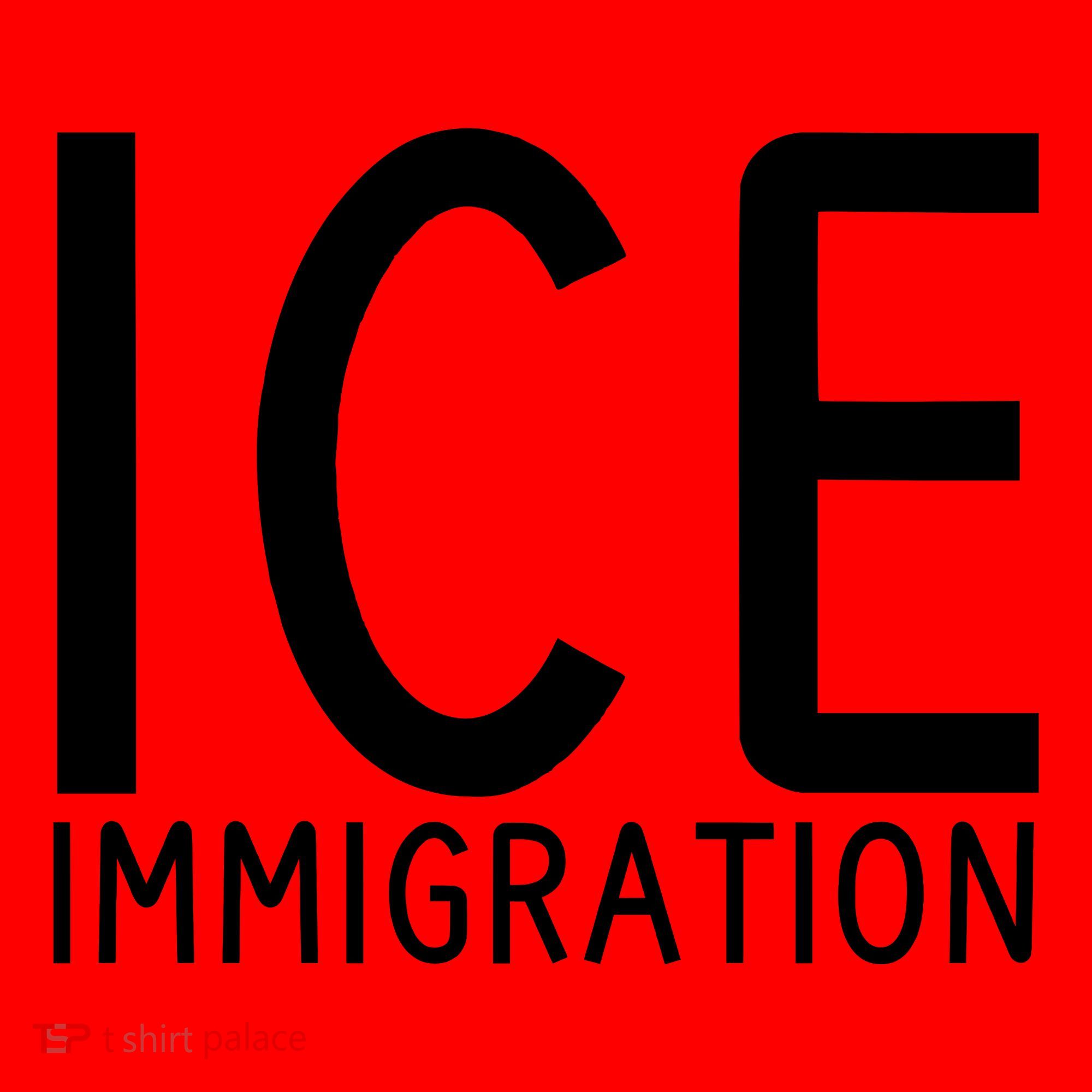 Ice Immigration Santa Hat