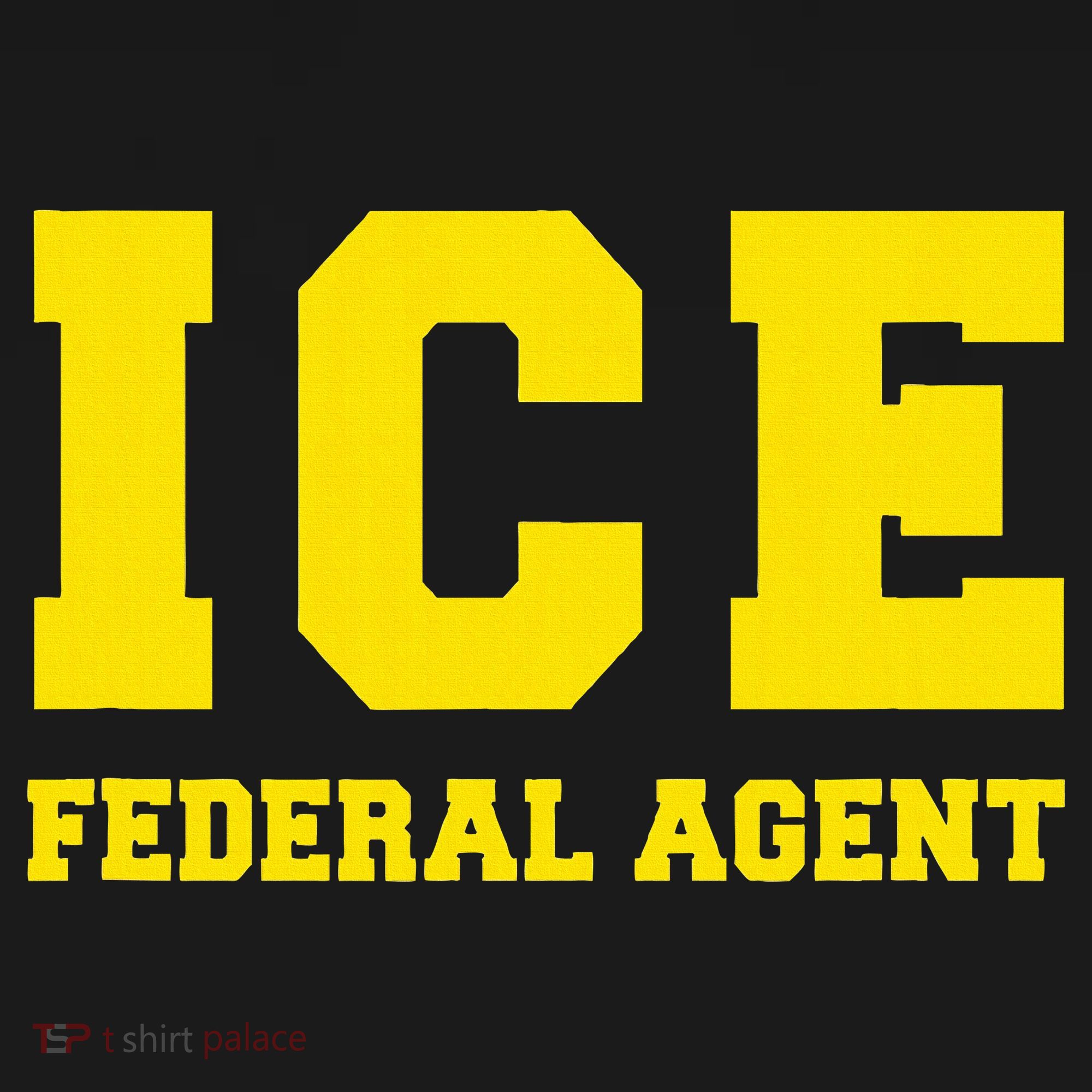 Ice Immigration Hoodie