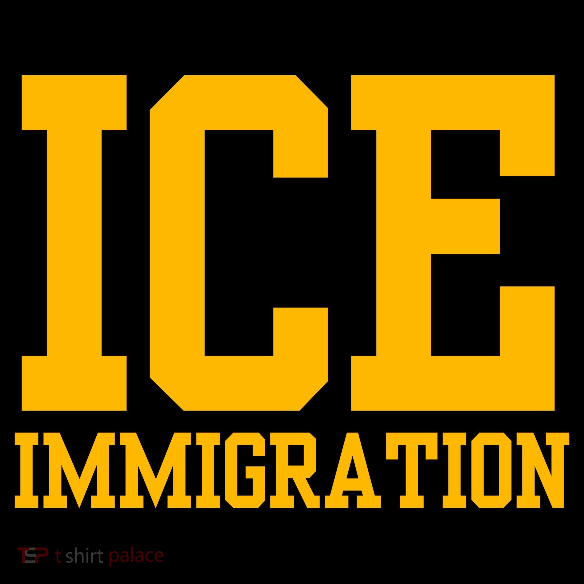 Ice Immigration Backpack