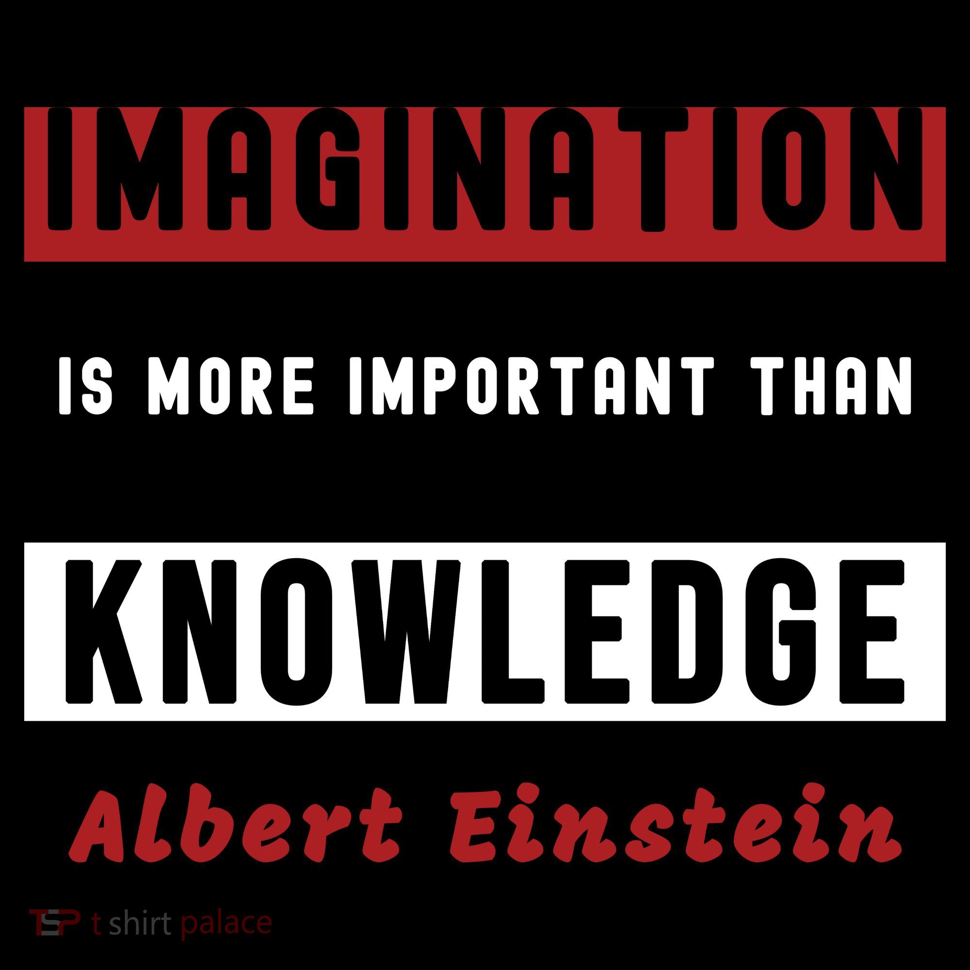 Imagination Is More Important Than Knowledge Albert Einstein Quote Funny Quote USA-Made Doggie Bandana