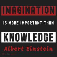 Imagination Is More Important Than Knowledge Albert Einstein Quote Funny Quote Tumbler thumb 3