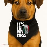 IT'S IN MY DNA Mexican Mexico Flag Cinco De Mayo Gift USA-Made Doggie Bandana thumb 1