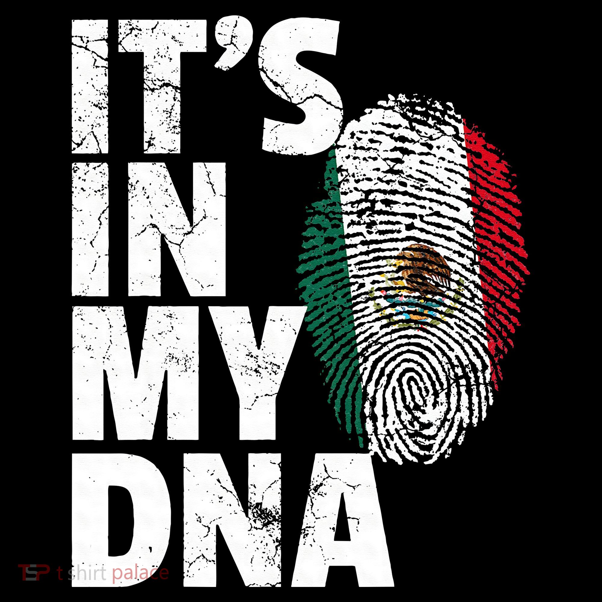 IT'S IN MY DNA Mexican Mexico Flag Cinco De Mayo Gift Women's Hoodie