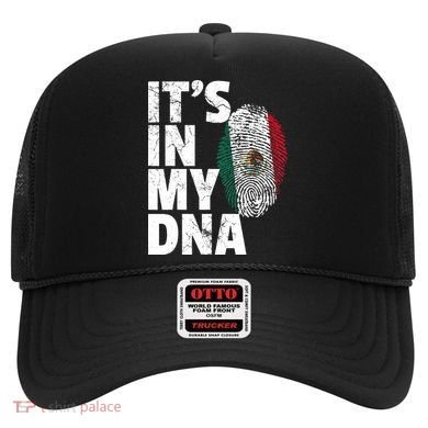 IT'S IN MY DNA Mexican Mexico Flag Cinco De Mayo Gift Hat