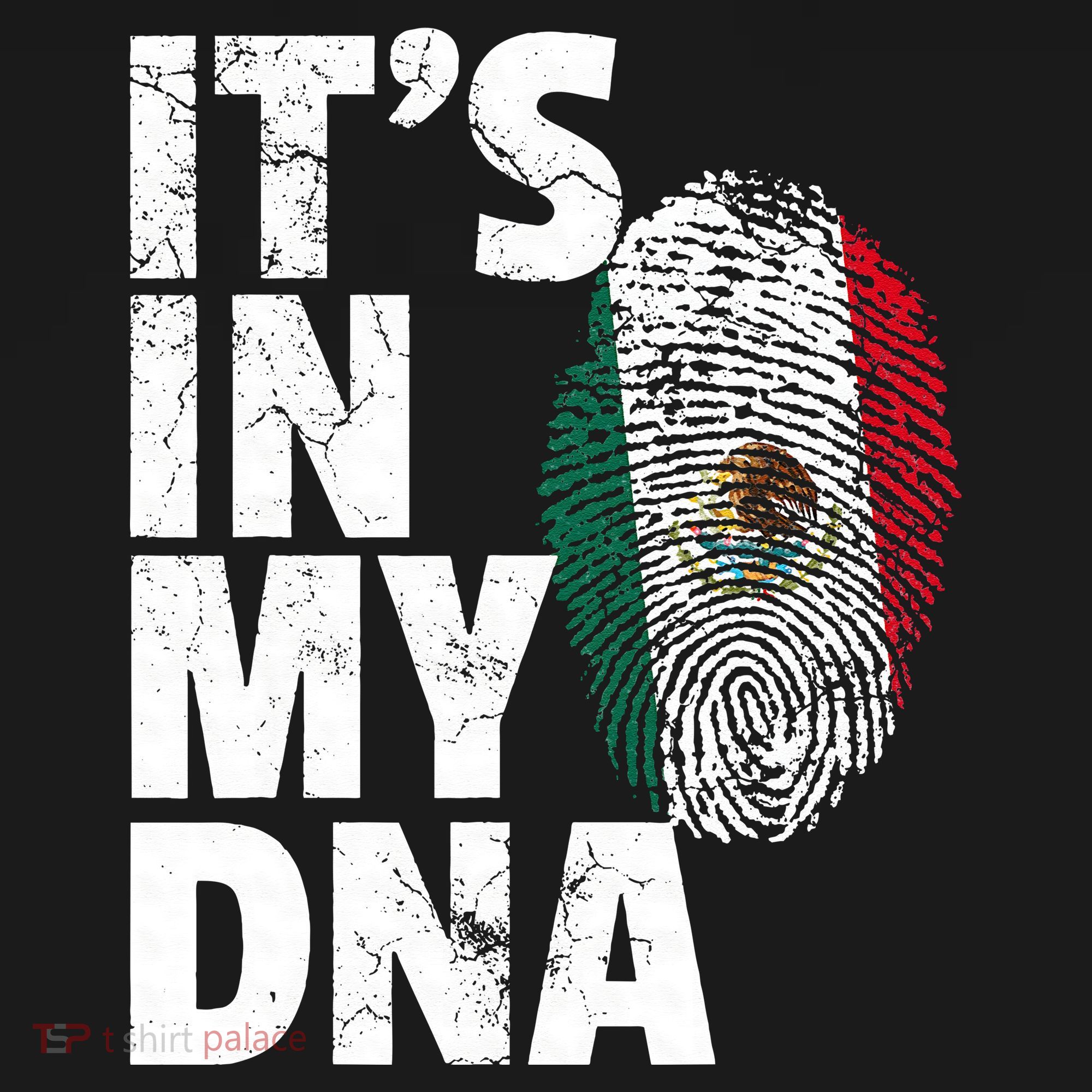 IT'S IN MY DNA Mexican Mexico Flag Cinco De Mayo Gift Women's T-Shirt