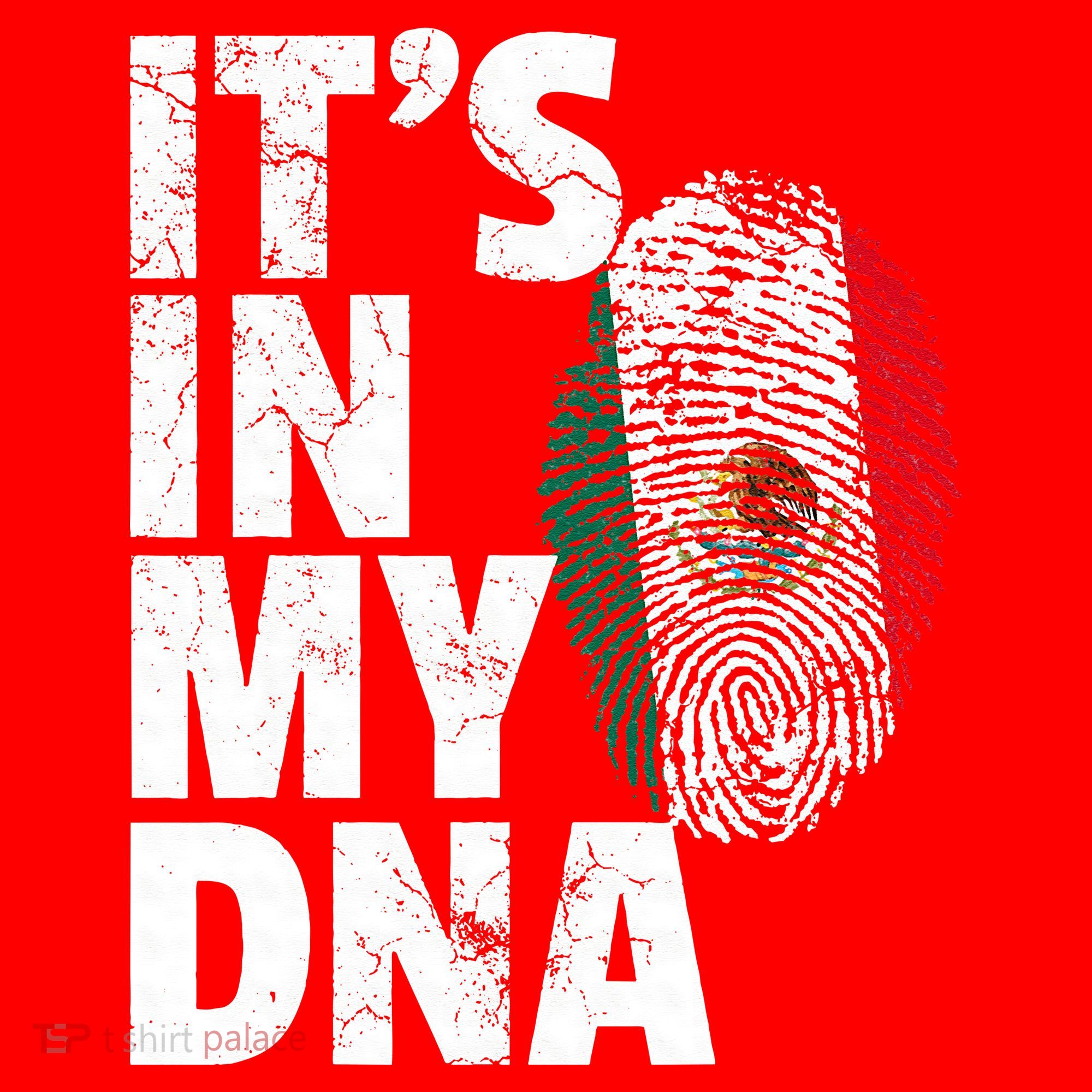 IT'S IN MY DNA Mexican Mexico Flag Cinco De Mayo Gift Santa Hat