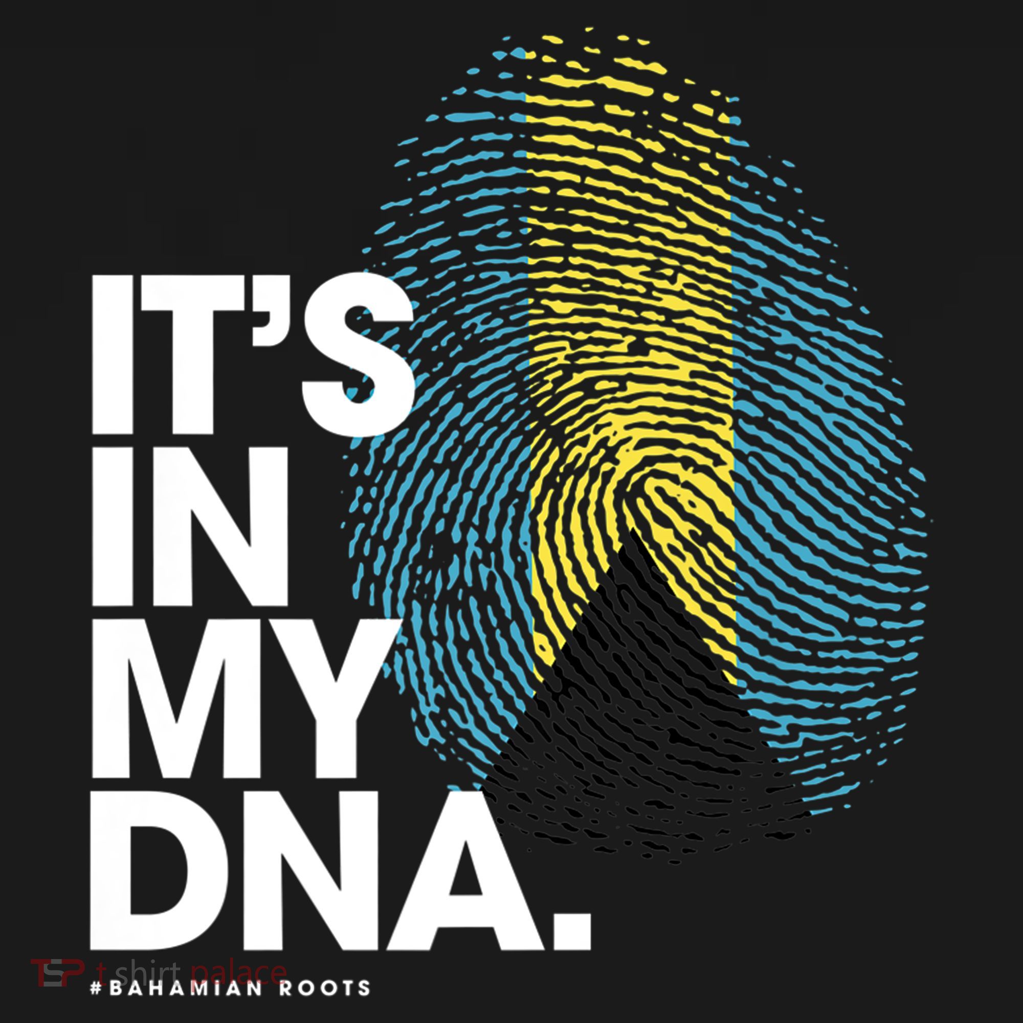Its In My Dna Bahamas Flag Gift Bahamian Roots Gift Women's Hoodie