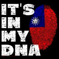 Its In My Dna Taiwan Flag Gift Women's Hoodie thumb 2