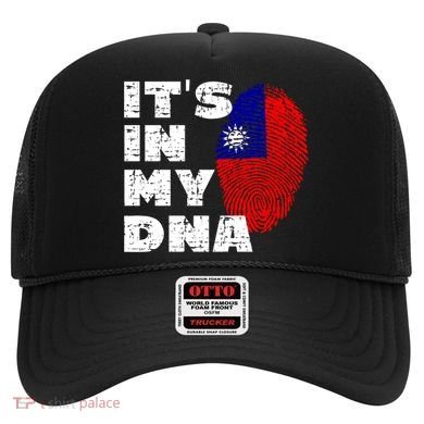 Its In My Dna Taiwan Flag Gift Hat