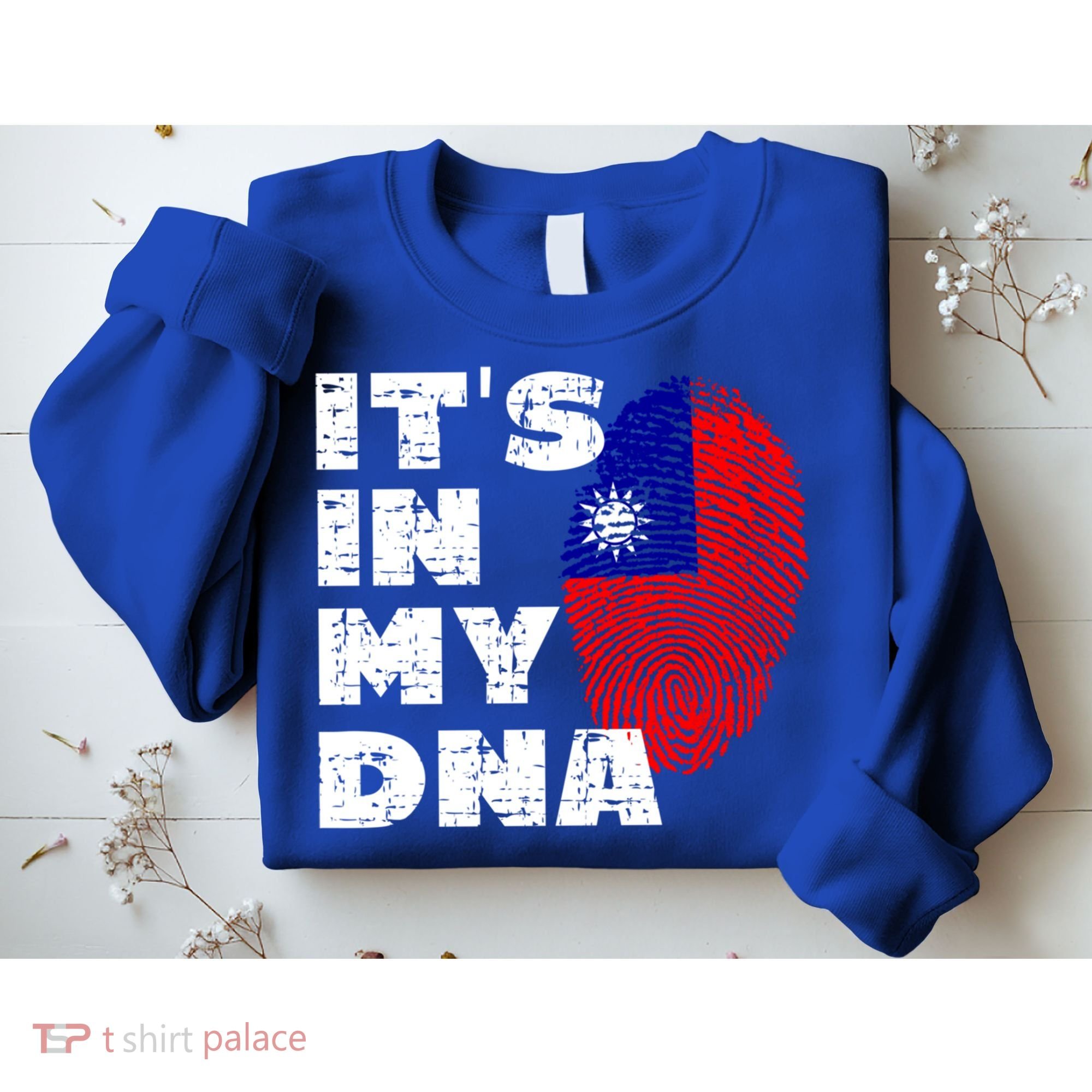 Its In My Dna Taiwan Flag Gift Sweatshirt