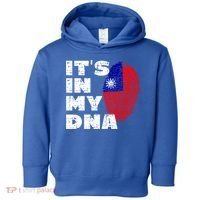 Its In My Dna Taiwan Flag Gift Toddler Hoodie thumb 0