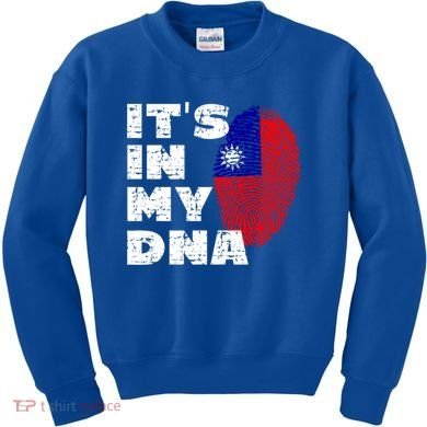 Its In My Dna Taiwan Flag Gift Kids Sweatshirt