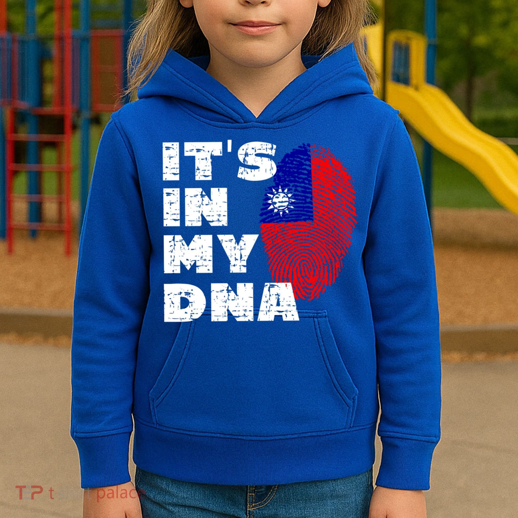 Its In My Dna Taiwan Flag Gift Kids Hoodie