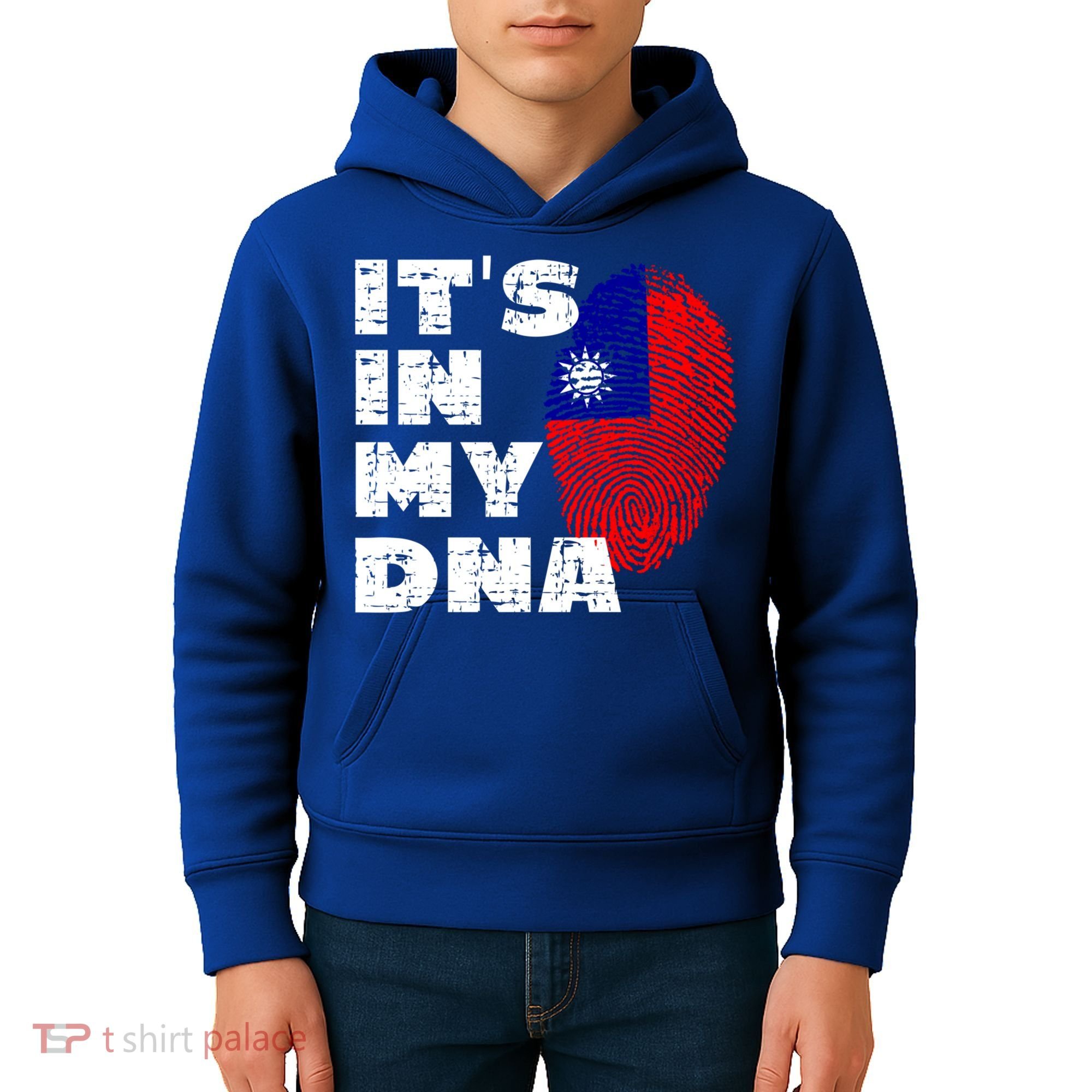 Its In My Dna Taiwan Flag Gift Kids Hoodie
