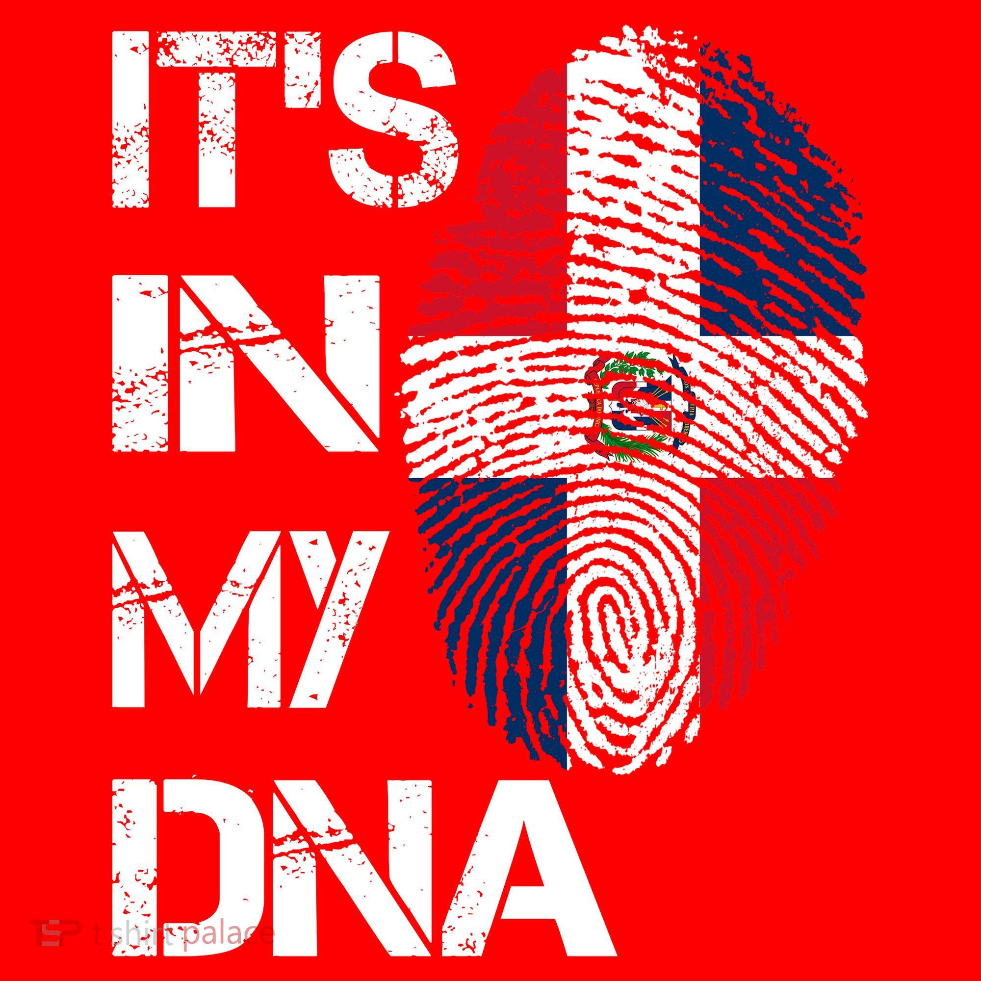 IT'S IN MY DNA Dominican Republic Flag Pride Gift Santa Hat