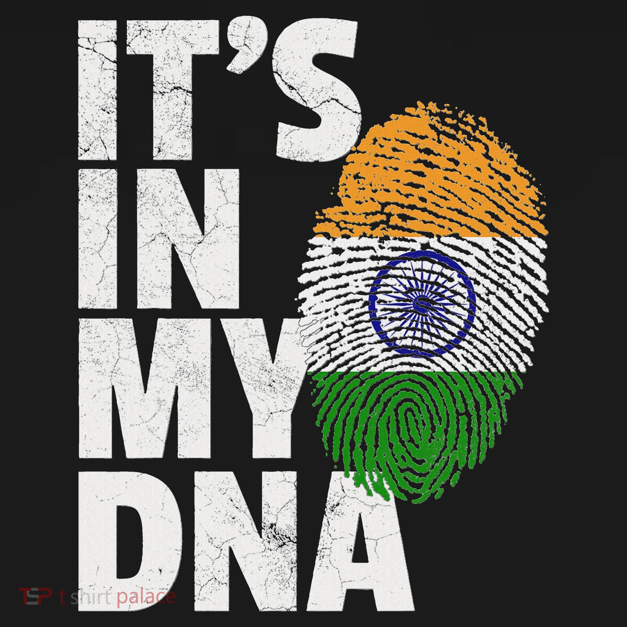 ItS In My Dna India Flag Indian Women Novelty Gift Women's T-Shirt