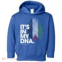 ItS In My Dna Palestine Flag Cool Gift Palestinian Roots Gift Toddler Hoodie thumb 0