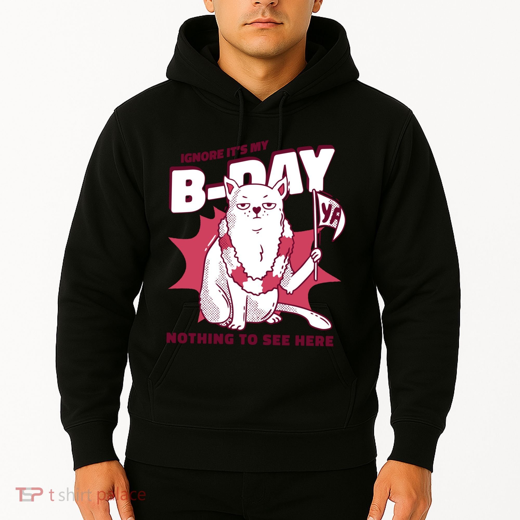 Ignore It's My Birthday Nothing To See Here Cat Hoodie